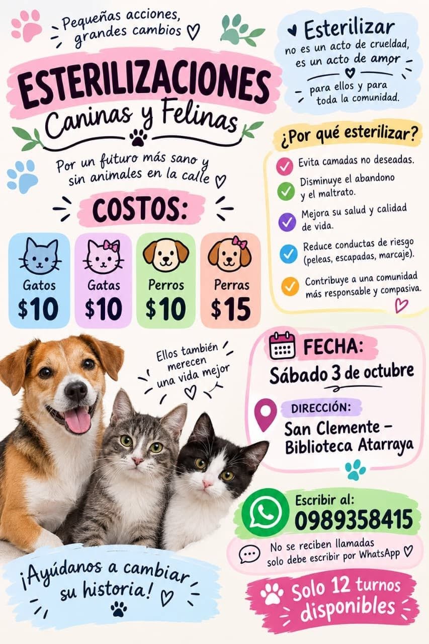 Esterilizaciones Caninas y Felinas